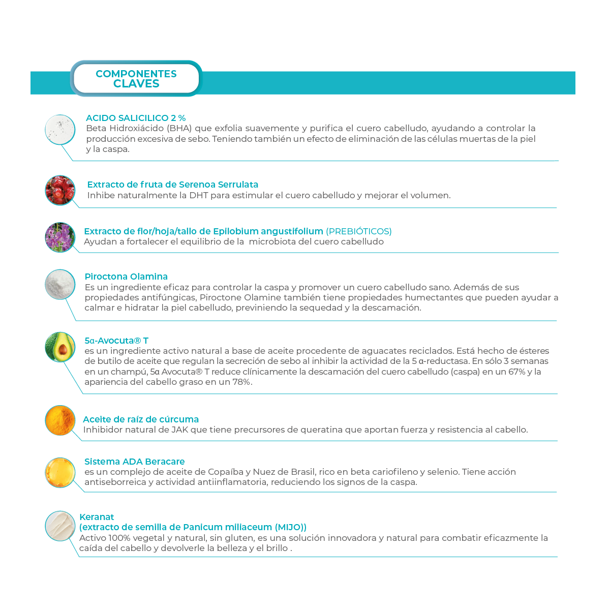 Dandrene® | Shampoo Exfoliante Anti-Caspa